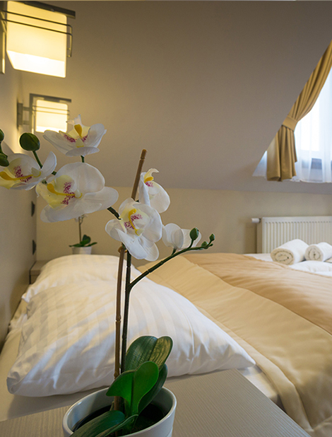 Pokoje w Pensjonacie Kanion